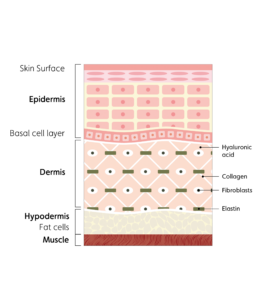 72k-ultra-deep-delivery-illustration-new-0