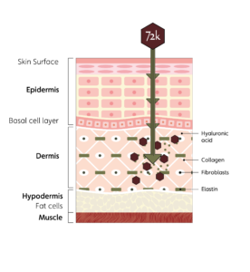 72k-ultra-deep-delivery-illustration-new