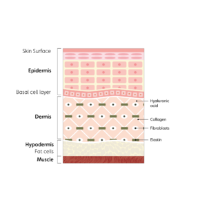 72k-ultra-deep-delivery-illustration-new-sun1